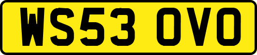 WS53OVO