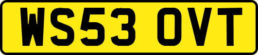 WS53OVT