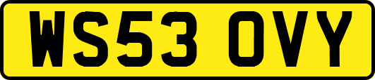 WS53OVY