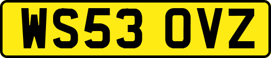 WS53OVZ