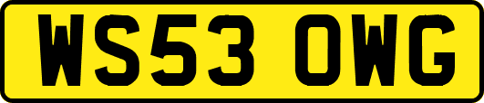 WS53OWG
