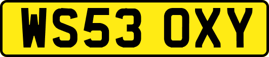 WS53OXY