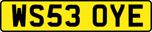 WS53OYE