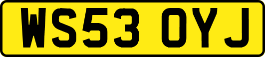 WS53OYJ