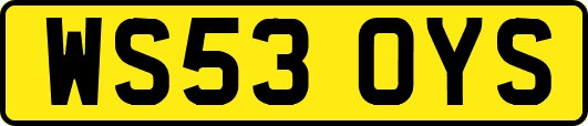WS53OYS