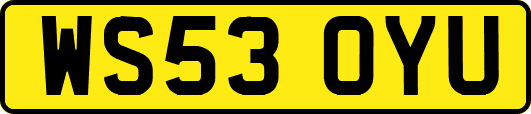 WS53OYU