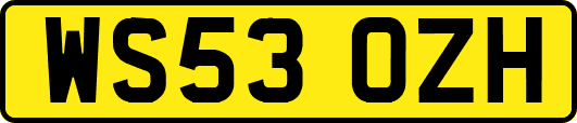 WS53OZH