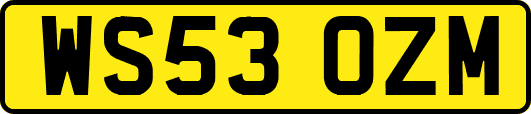 WS53OZM