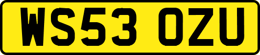 WS53OZU
