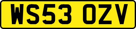 WS53OZV