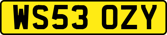 WS53OZY