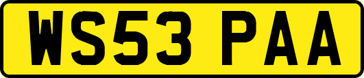 WS53PAA