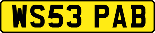 WS53PAB