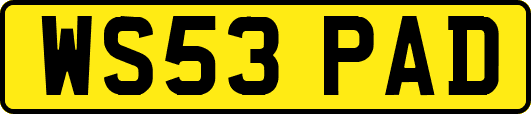 WS53PAD