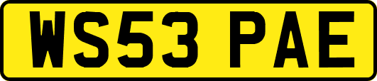 WS53PAE