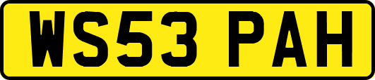 WS53PAH