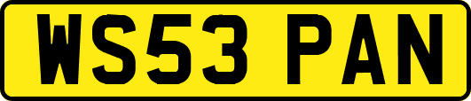 WS53PAN