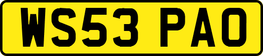 WS53PAO