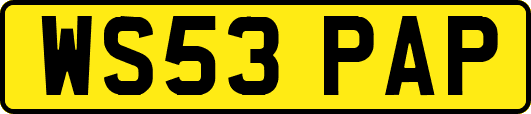 WS53PAP