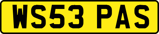 WS53PAS