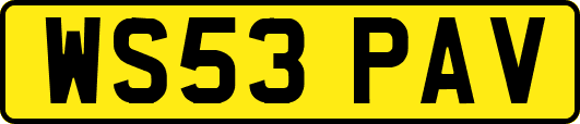 WS53PAV