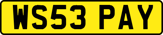 WS53PAY