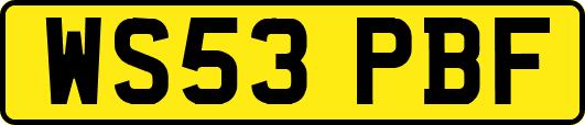 WS53PBF
