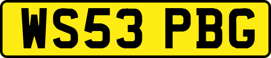 WS53PBG