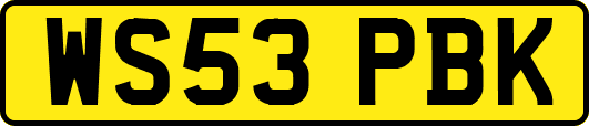WS53PBK
