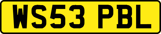 WS53PBL