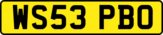 WS53PBO