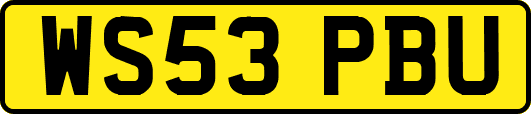 WS53PBU