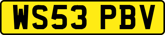 WS53PBV