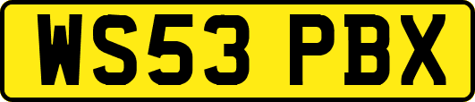 WS53PBX