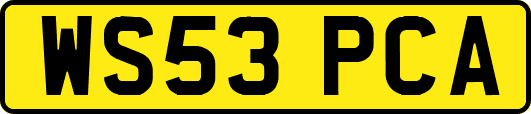 WS53PCA
