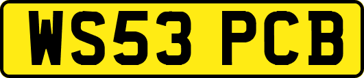 WS53PCB