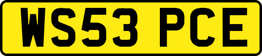 WS53PCE