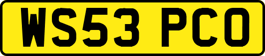 WS53PCO