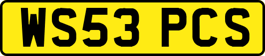 WS53PCS