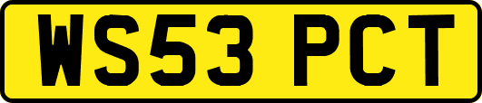 WS53PCT