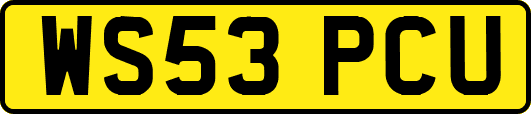 WS53PCU