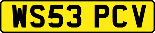 WS53PCV