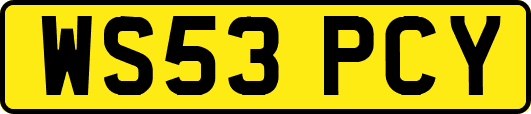 WS53PCY