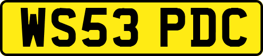 WS53PDC