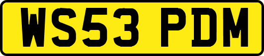 WS53PDM