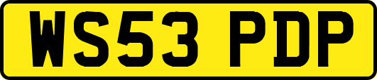 WS53PDP