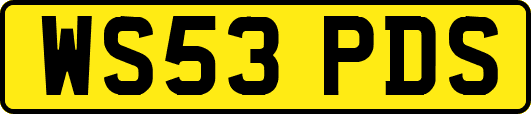 WS53PDS