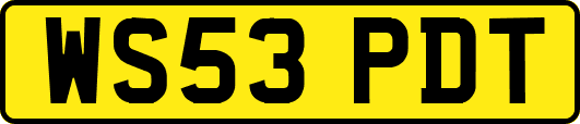 WS53PDT