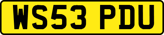 WS53PDU