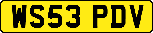 WS53PDV